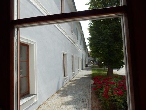 Foto 43